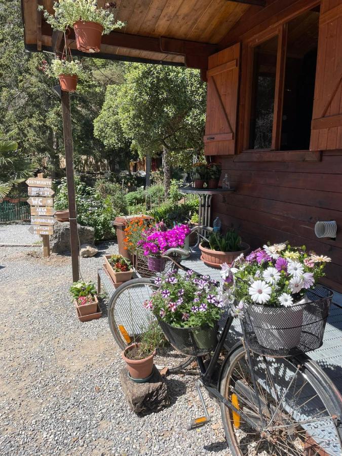 Agricamping Le Terrazze Hotel Орко Фелино Екстериор снимка