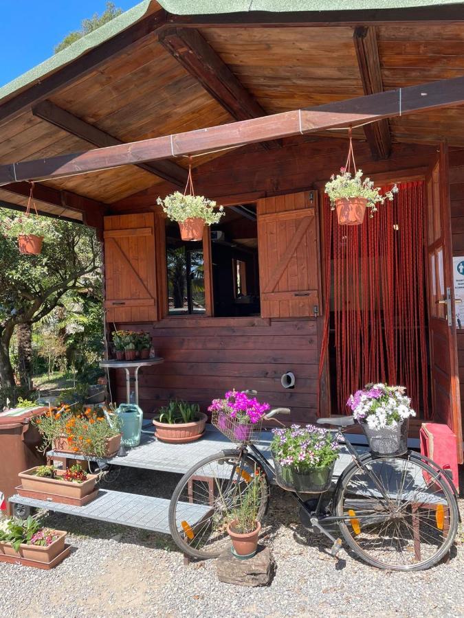 Agricamping Le Terrazze Hotel Орко Фелино Екстериор снимка