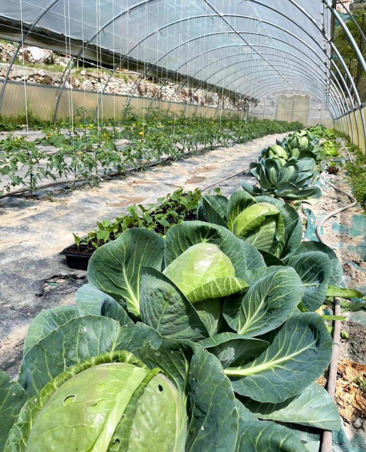 Agricamping Le Terrazze Hotel Орко Фелино Екстериор снимка